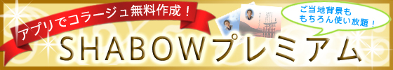 プレミアム会員説明