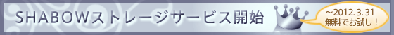 ストレージサービス説明